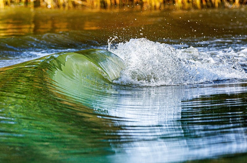 Energy Flow
